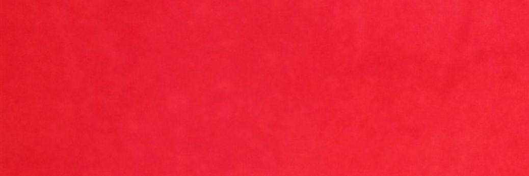Lotte Kofoed's banner