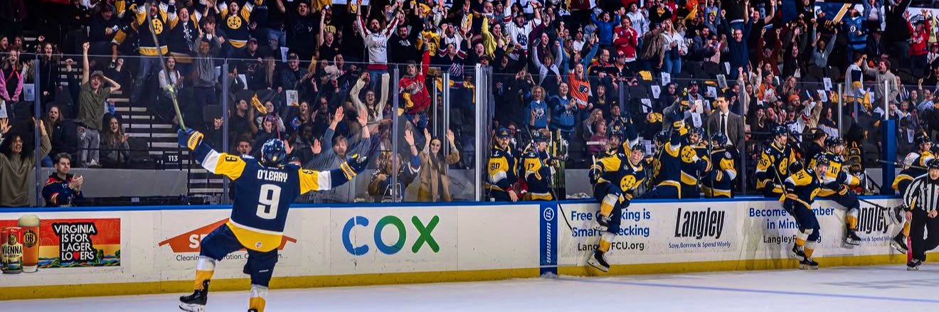 Norfolk Admirals's banner