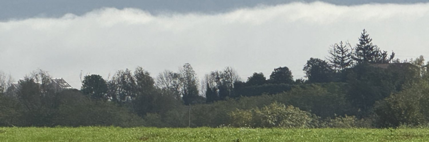 Ramon Espadaler's banner