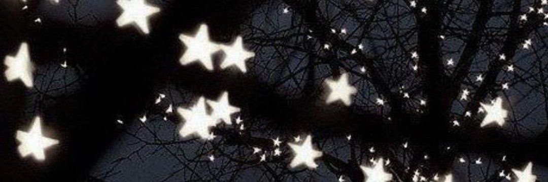 Cara ❀'s banner
