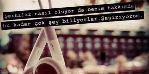 Semih Malay's banner