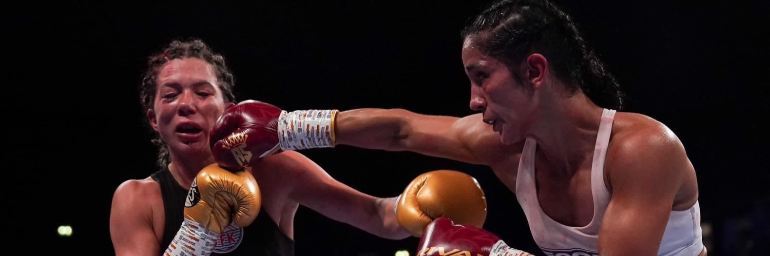 Amanda Serrano's banner