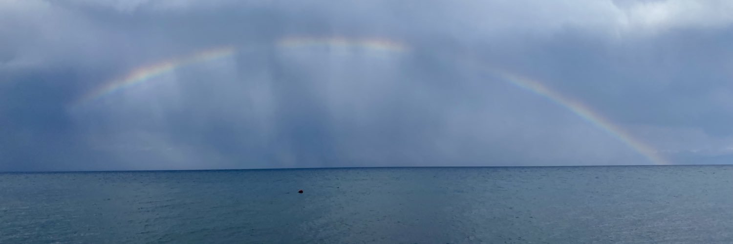 Erica Marat's banner