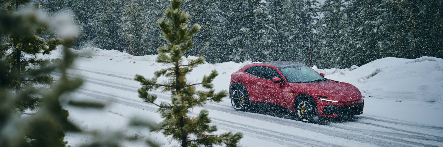 Ferrari USA's banner