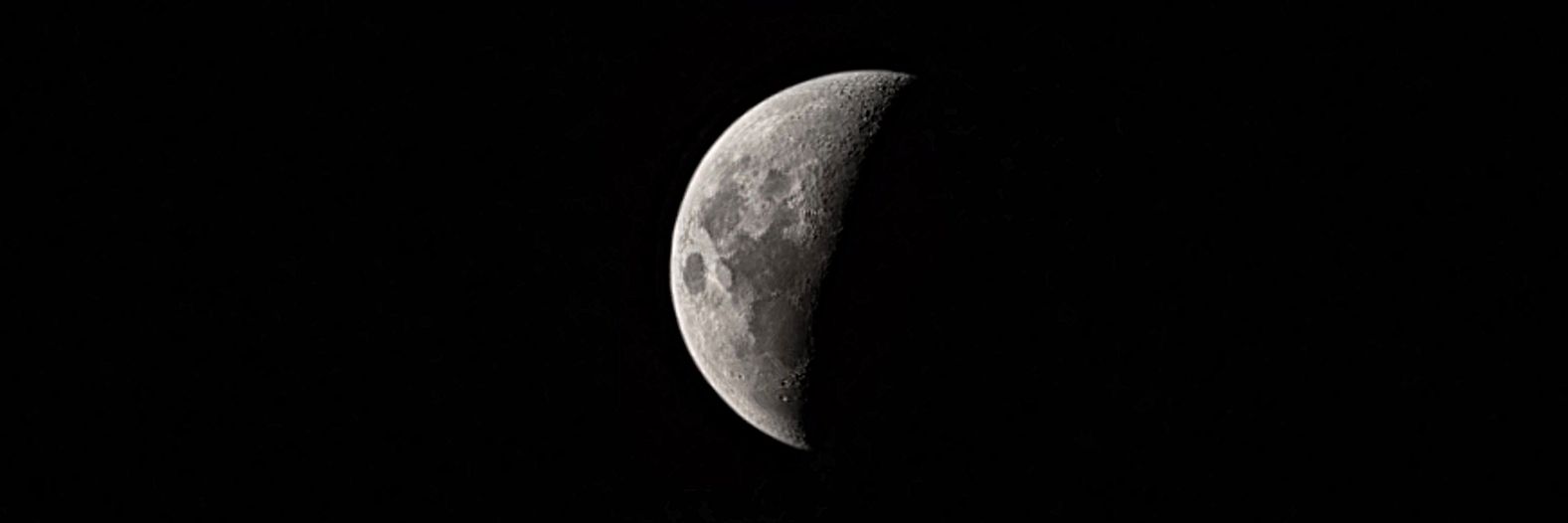 Antonella ✿'s banner