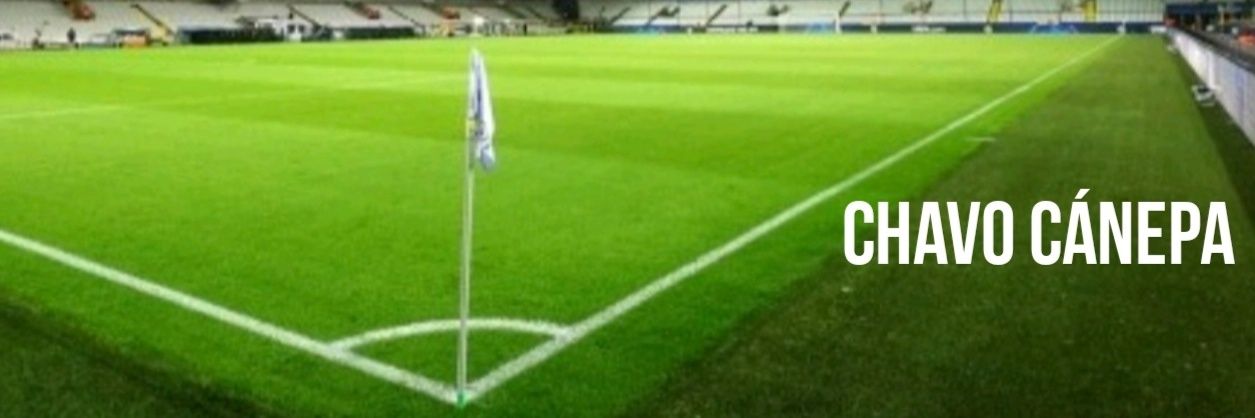Gustavo Cánepa's banner