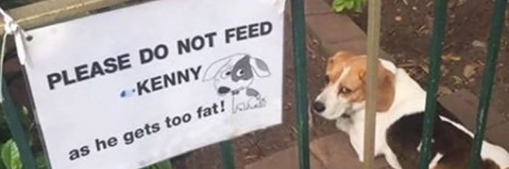 Kenny's banner