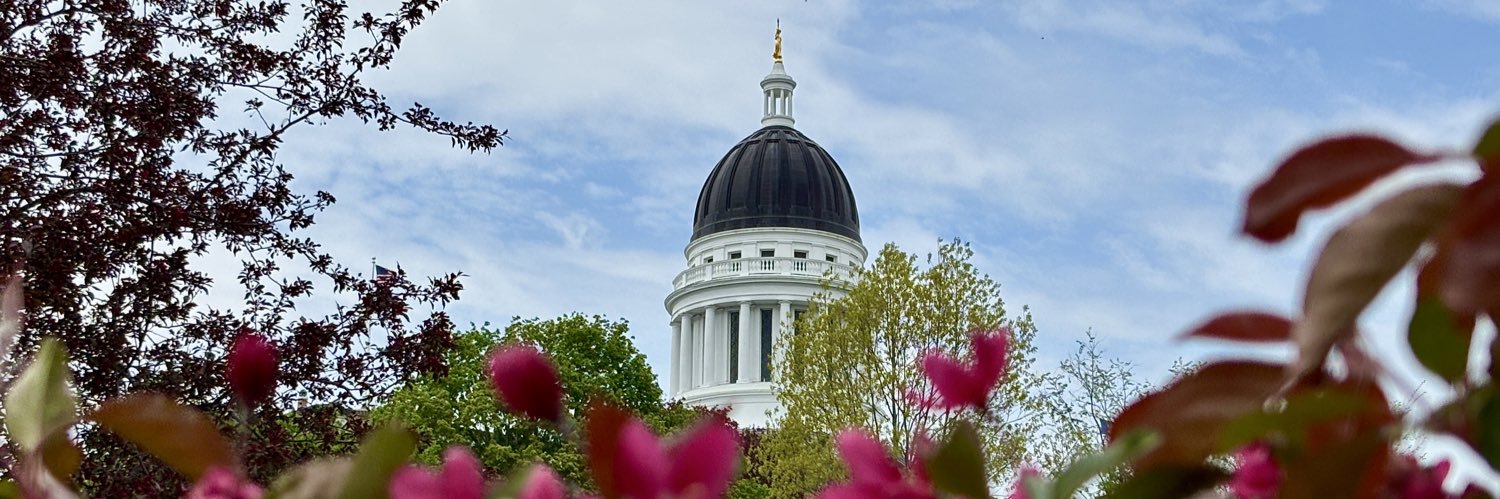Maine House GOP's banner