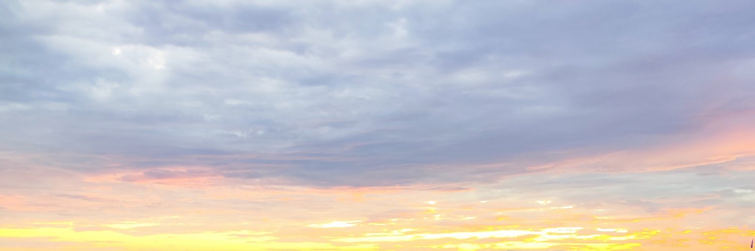 shamay's banner