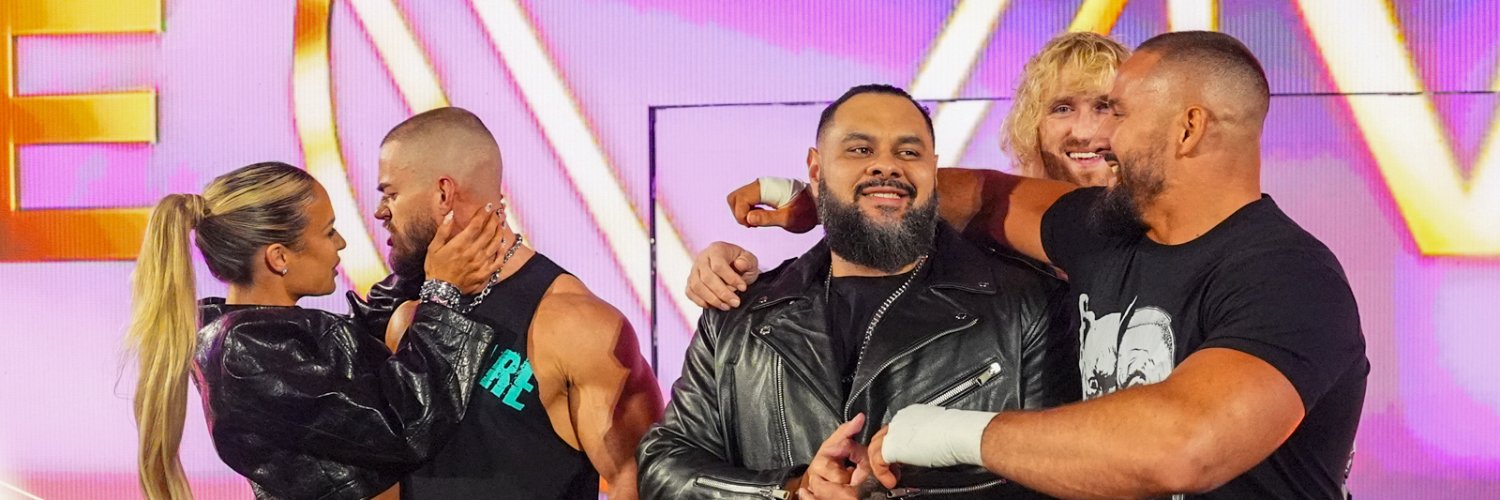 WWE France's banner
