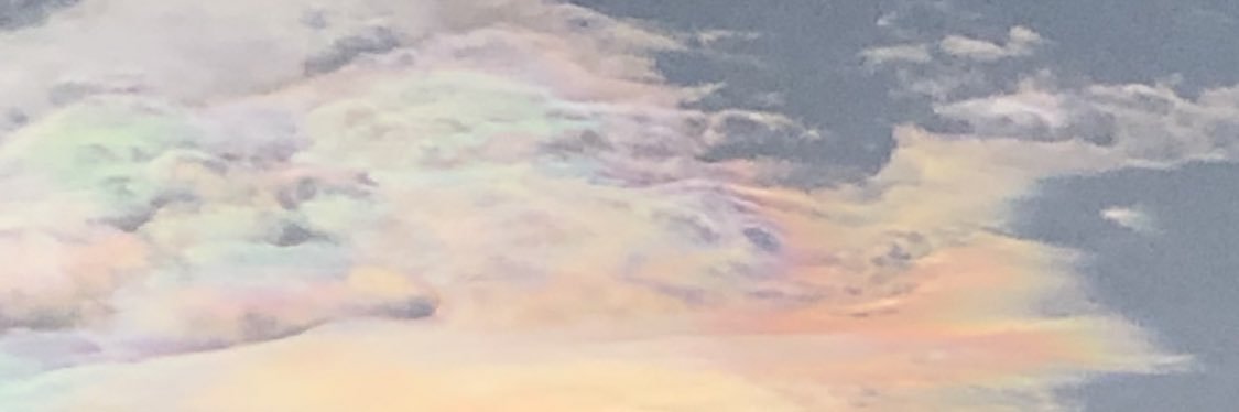 斉田季実治's banner