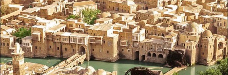 سيف الحموي Saif Elhamwi's banner