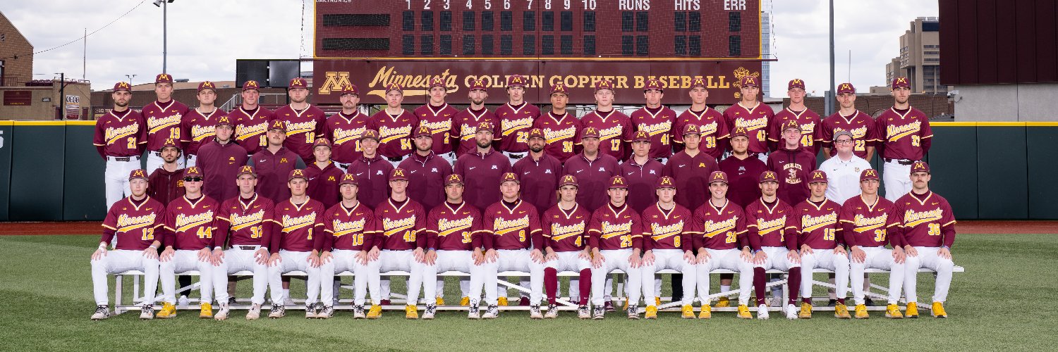 Minnesota Baseball's banner