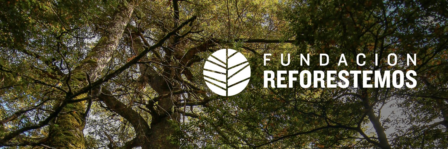 Fundación Reforestemos's banner