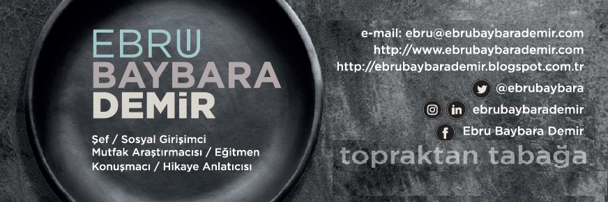 Ebru Baybara Demir's banner