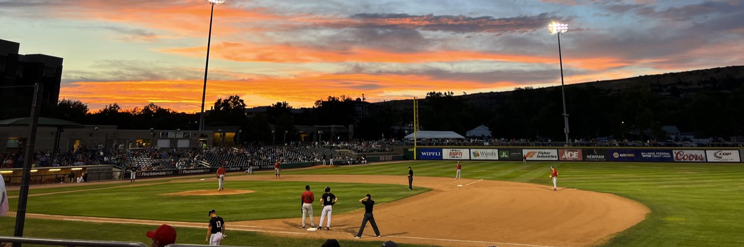 Billings Mustangs's banner
