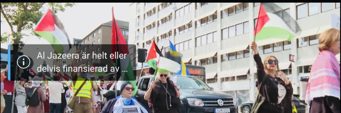 RoxAntifa's banner