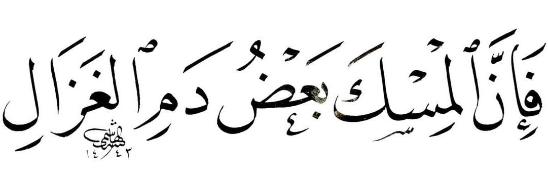 فاطِم 🇵🇹's banner