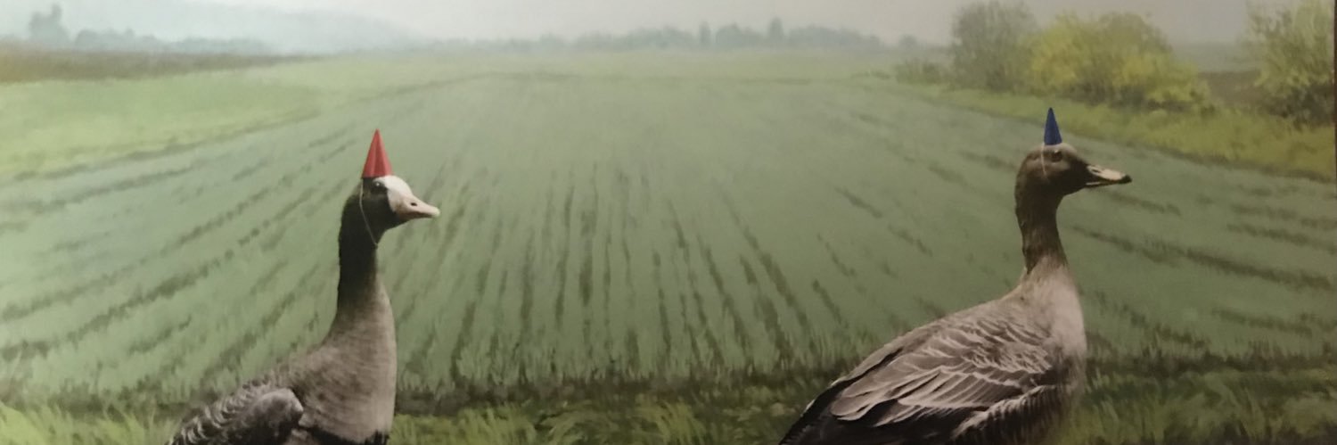 Che ①④'s banner