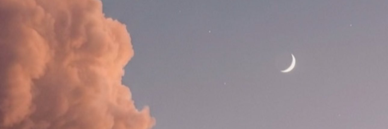 Tranzollo🐸's banner