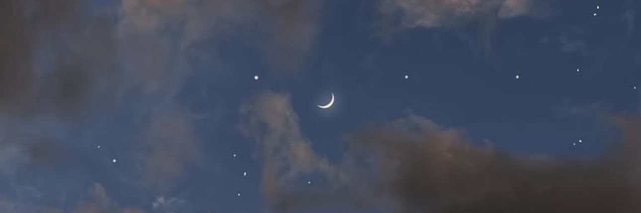 Tranzollo🐸's banner