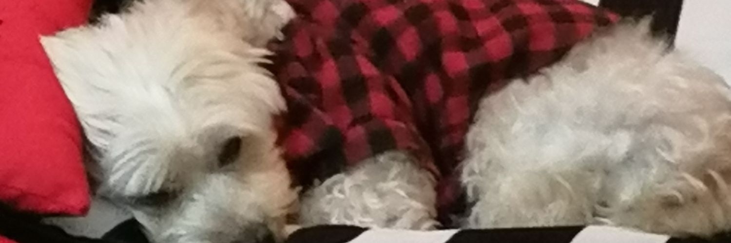araceli ramirez's banner