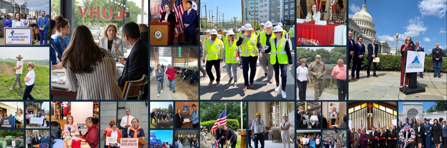 Congresswoman Madeleine Dean's banner