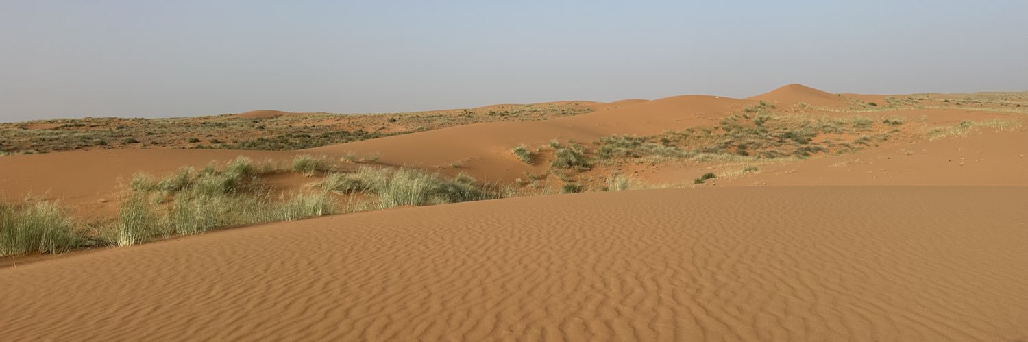 ناصر الحوضان's banner