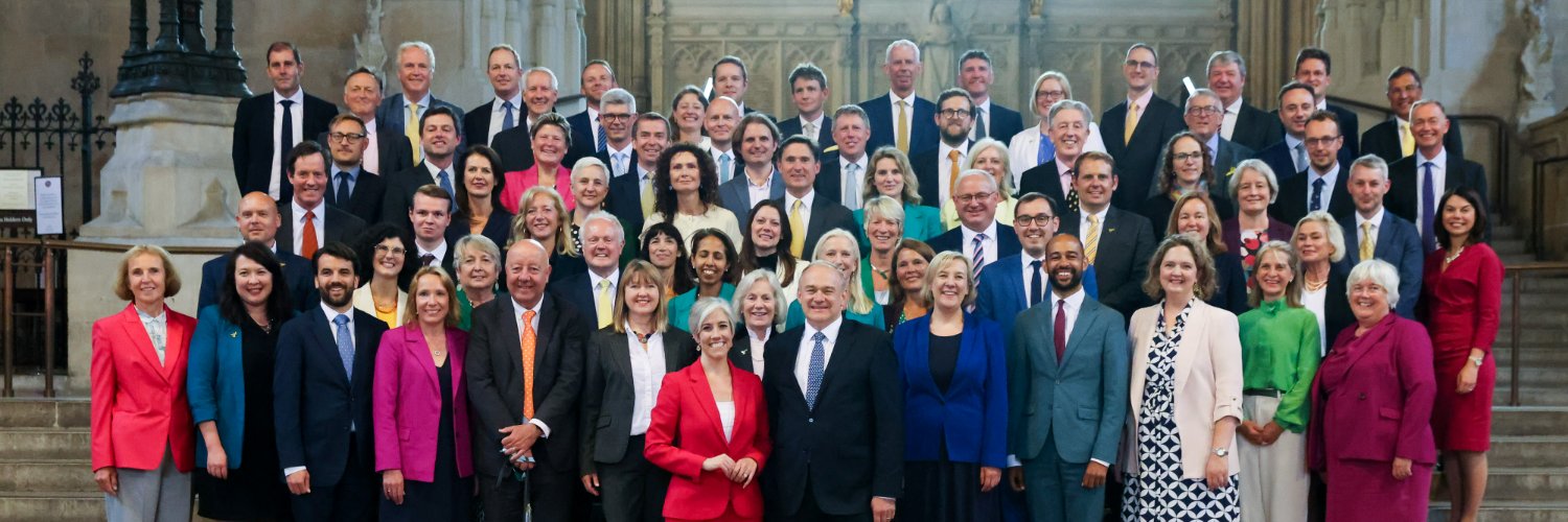 Liberal Democrats's banner