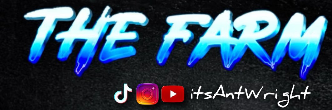 ᗩᑎT ᗯᖇIGᕼT's banner