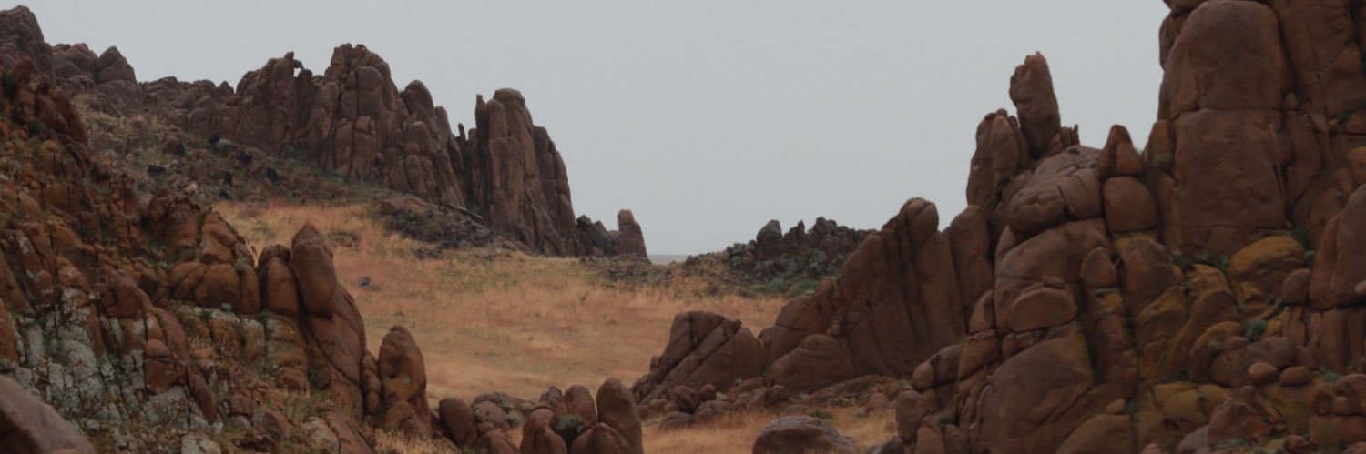 Самданнямын Мөнхчулуун's banner