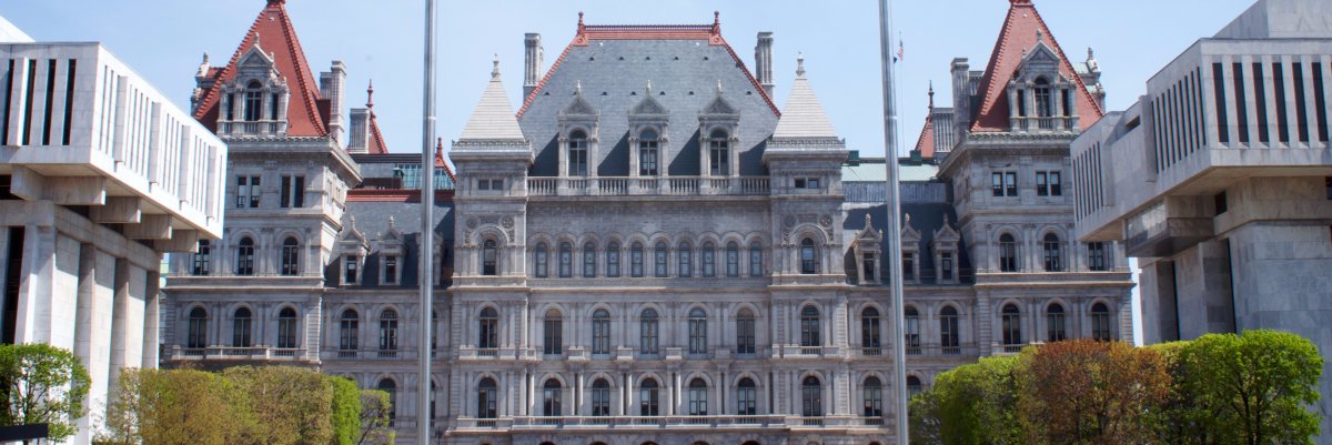 NYS Assembly Republican Conference's banner