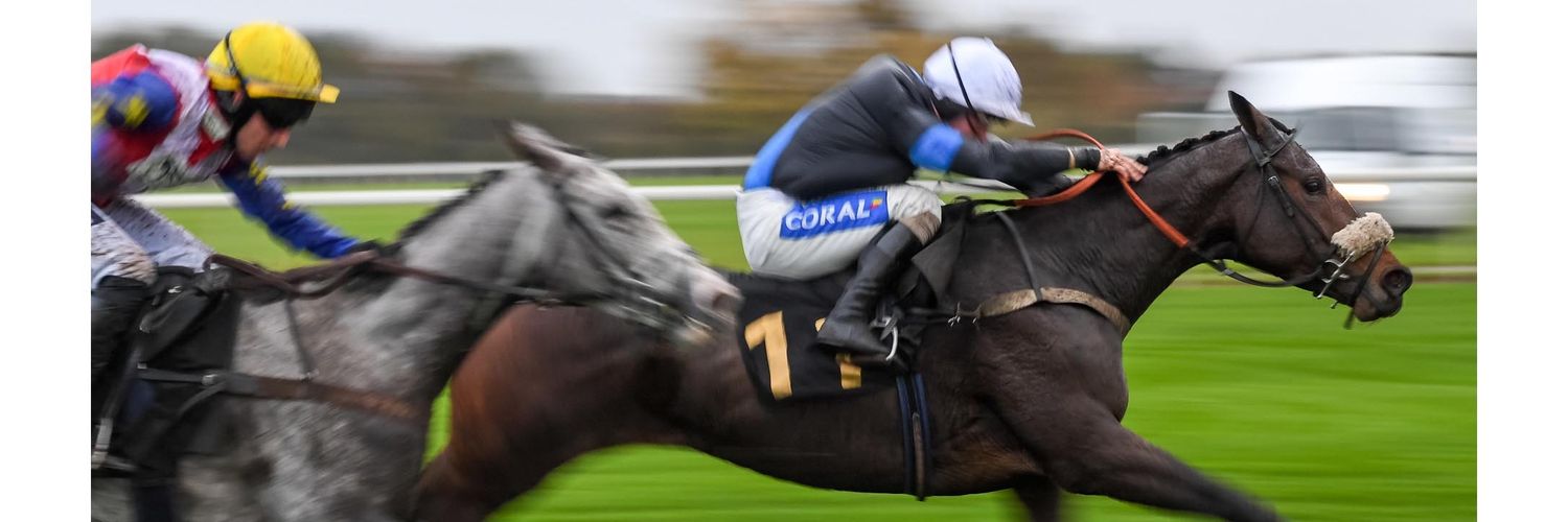 🏎🏍 Emma 🐎📸's banner