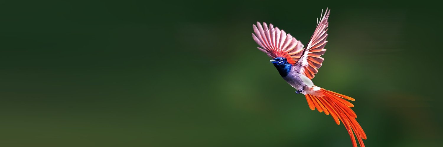 BirdLife International's banner
