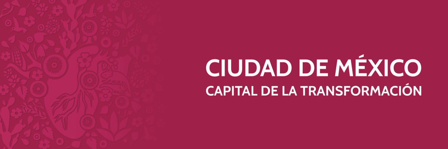 Julia Álvarez Icaza Ramírez's banner