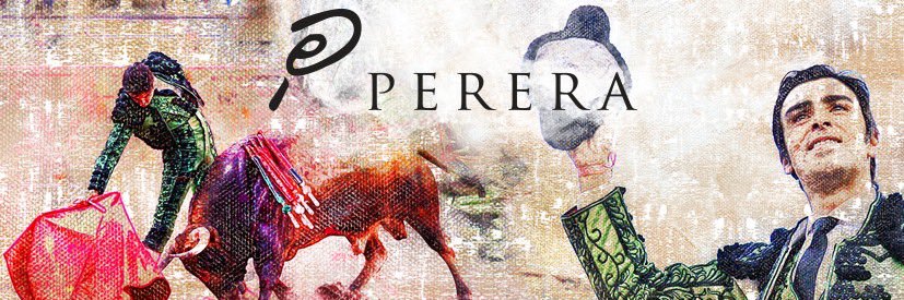 Miguel Ángel Perera's banner