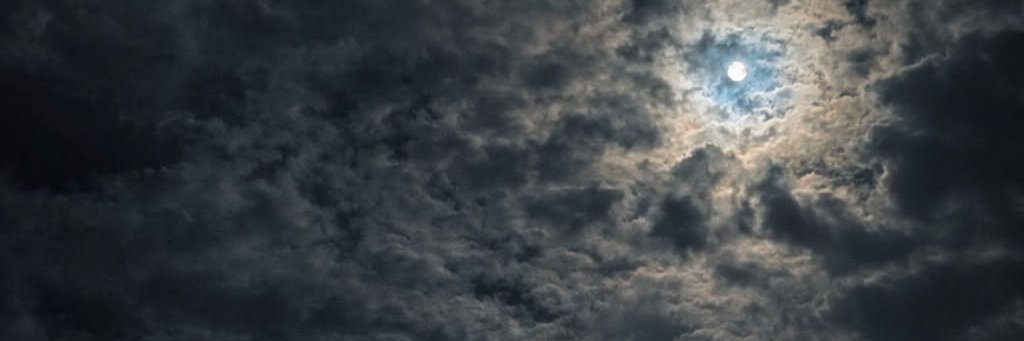طلال's banner