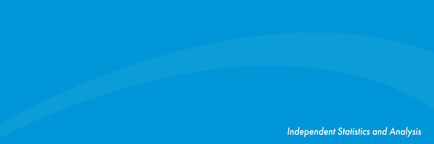 EIA's banner