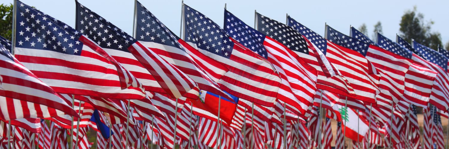 Dont TreadOnMe 🇺🇸's banner