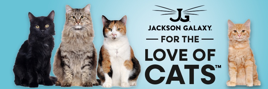 Jackson Galaxy's banner
