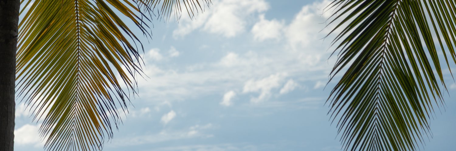 La vida de un gemelo🗺️'s banner