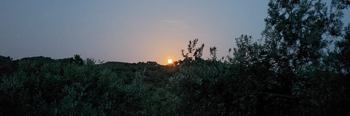 Şafak Serkan Yılmaz's banner