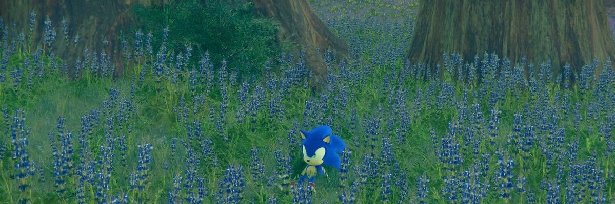 ~'s banner