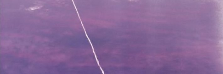 Nat & Alex Wolff's banner