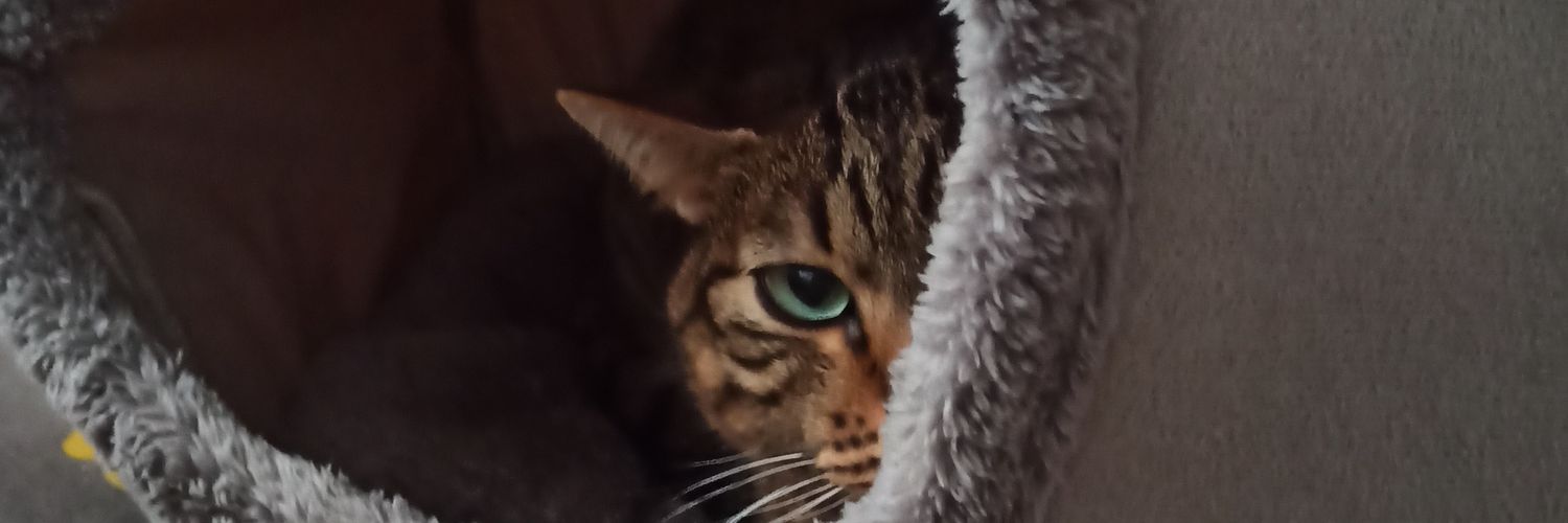 Django's banner