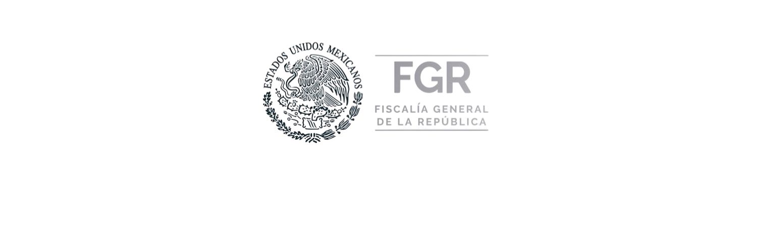 Ernestina Godoy Ramos's banner