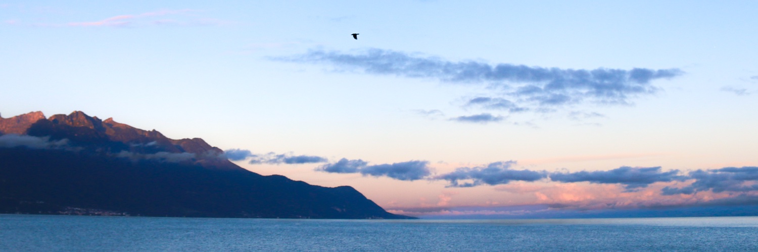 L⁷'s banner