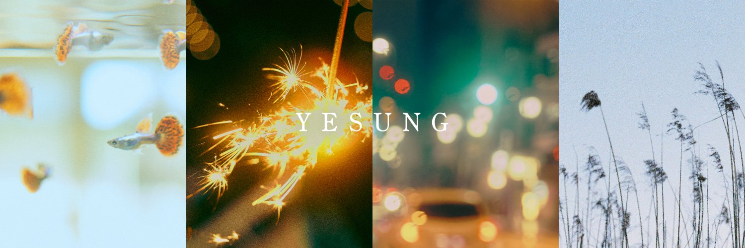 SJ_NEWS_JP's banner