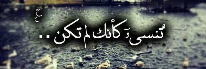 آن صلاح's banner