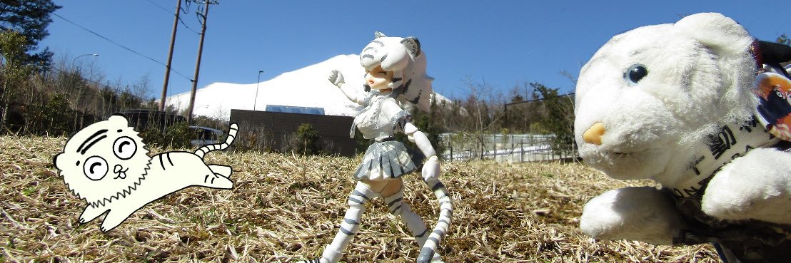 トロピカルあわせみそしる🐙🍮's banner